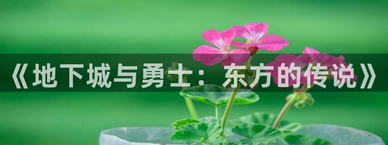 囧次元官方网站入口安卓版