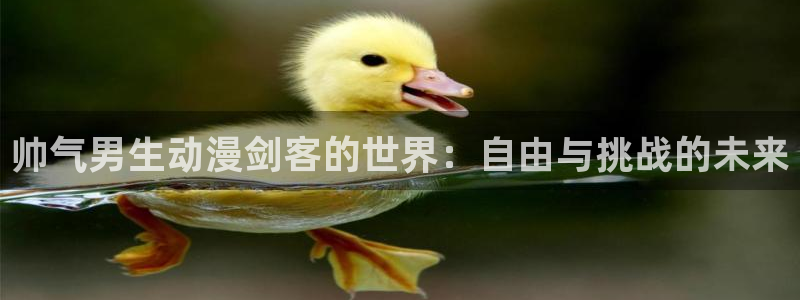 囧次元官方入口：帅气男生动漫剑客的世界：自由与挑战的未来