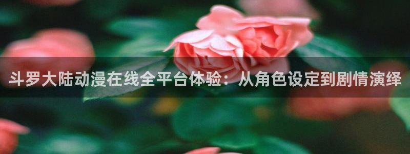 囧次元a：斗罗大陆动漫在线全平台体验：从角色设定到剧情演绎